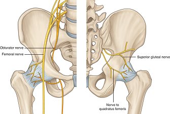 Hip Radiofrequency Ablation